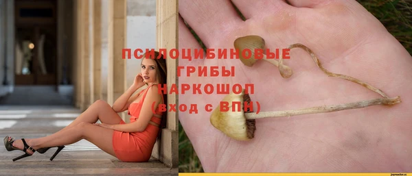 экстази Алексин