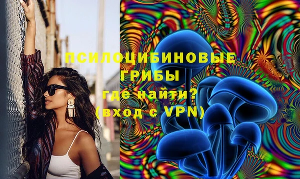 гидропоника Нефтекумск