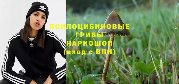 бошки Алзамай