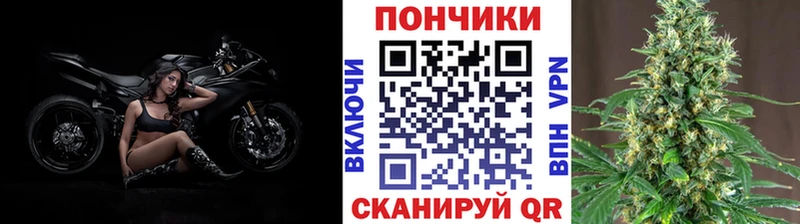 Конопля гибрид  Покров 